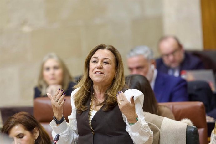 La consejera de Desarrollo Educativo, María del Carmen Castillo, en la sesión parlamentaria del 6 de febrero de 2025.