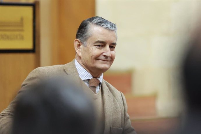 El consejero de la Presidencia, Interior, Diálogo Social y Simplificación Administrativa, Antonio Sanz, en pleno parlamentario este jueves, 06 de febrero de 2025.