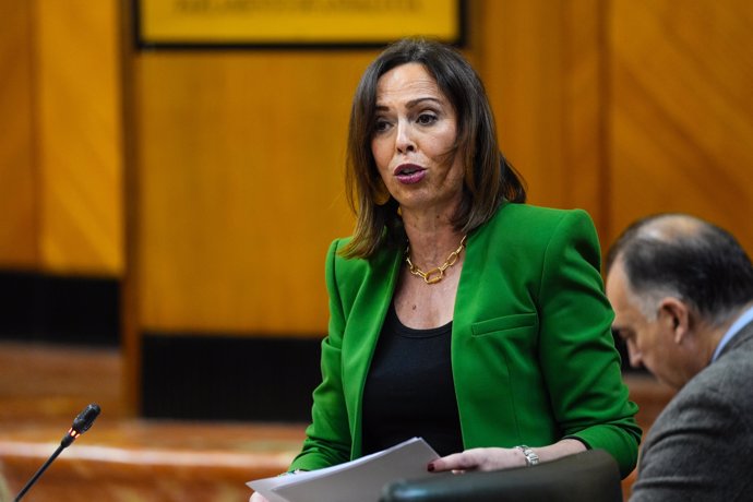 La consejera de Fomento, Articulación del Territorio y Vivienda, Rocío Díaz, en el Parlamento