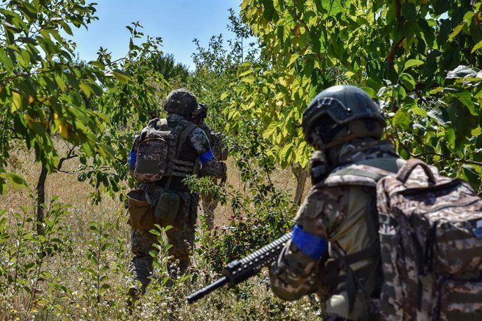 Archivo - August 17, 2024, Zaporizhzhia, Ukraine: Ukrainian servicemen of 141st Separate Infantry brigade are seen during the military practice. Russia has moved parts of its units from several directions in Ukraine, including the south sector to reinforc