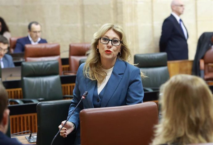 La consejera de Economía, Hacienda y Fondos Europeos, Carolina España, en pleno parlamentario este jueves, 06 de febrero de 2025.