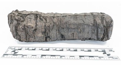 La Inteligencia Artificial lee un rollo de Herculano 2.000 años después