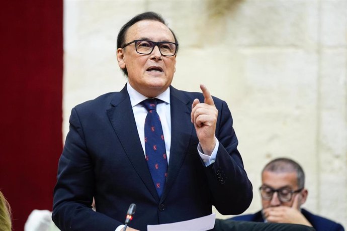 El consejero de Universidad, José Carlos Gómez Villamandos, en la sesión plenaria del 6 de febrero de 2025.