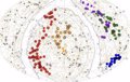 Se descubre la mayor estructura del universo, nombrada Quipu