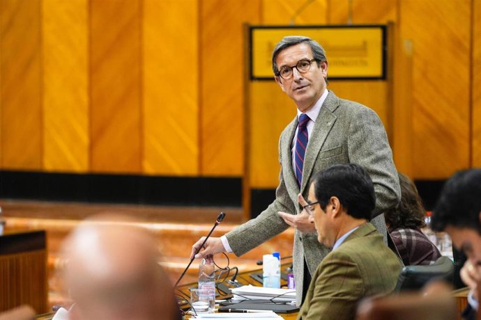 El consejero de Industria, Energía y Minas, Jorge Paradela, en pleno parlamentario este juves, 06 de febrero de 2025.