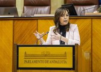 El Parlamento andaluz rechaza con los votos del PP-A y Vox instar a la Junta a aplicar la Ley estatal de Vivienda