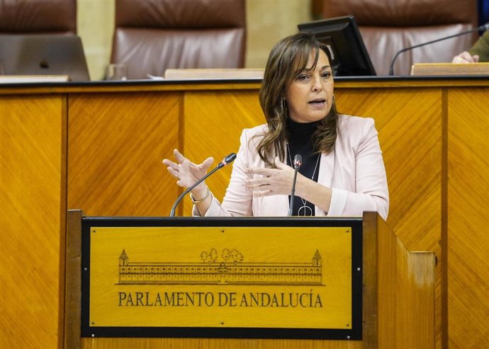 La diputada del PSOE-A Isabel Ambrosio interviene en el Pleno del Parlamento andaluz.
