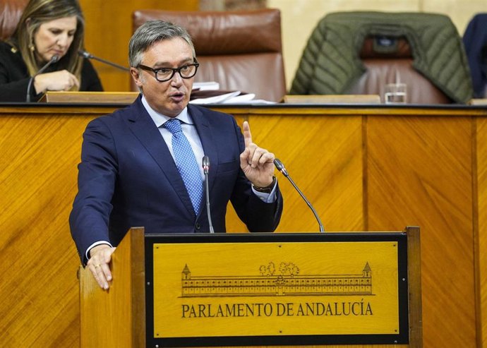 El portavoz del Grupo Vox en Andalucía, Manuel Gavira, este jueves en la defensa de la PNL en el Pleno.