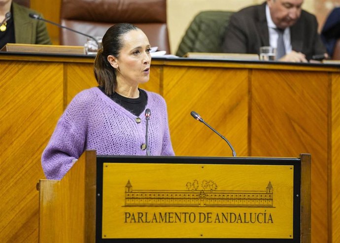 La portavoz adjunta del Grupo Popular, María Isabel Lozano, este jueves en el Pleno en la defensa de la PNL.