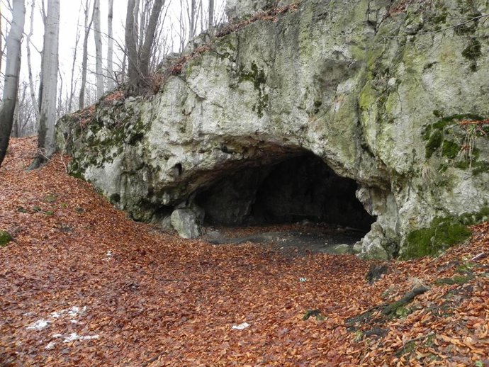 Cueva de Maszcycka, en Polonia.