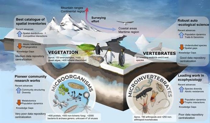 Diagrama resumen de los resultados del estudio.