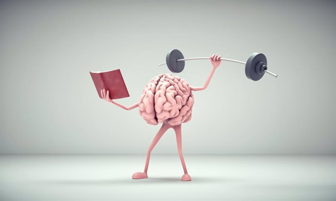 Archivo - Cerebro sano ejercitándose.