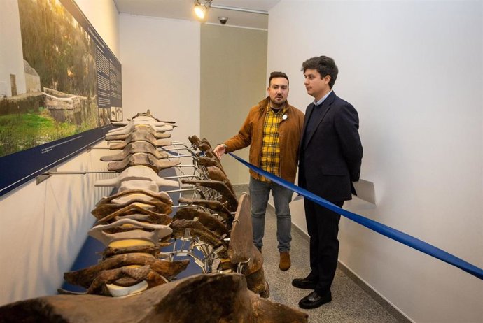 La exposición 'Reflejos de Doñana en Sevilla'.