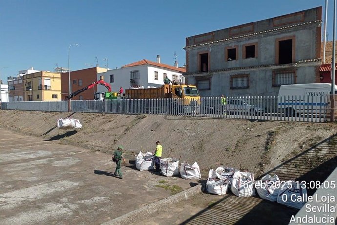 Canal del Palmete.