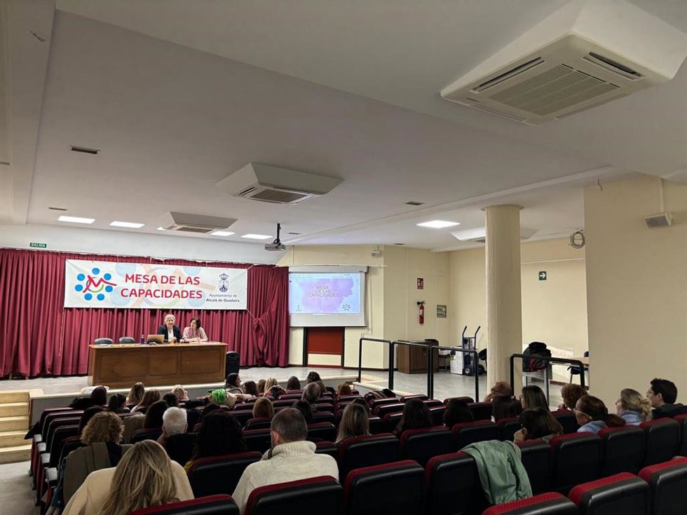 Jornada de trabajo de la Mesa de las Capacidades.