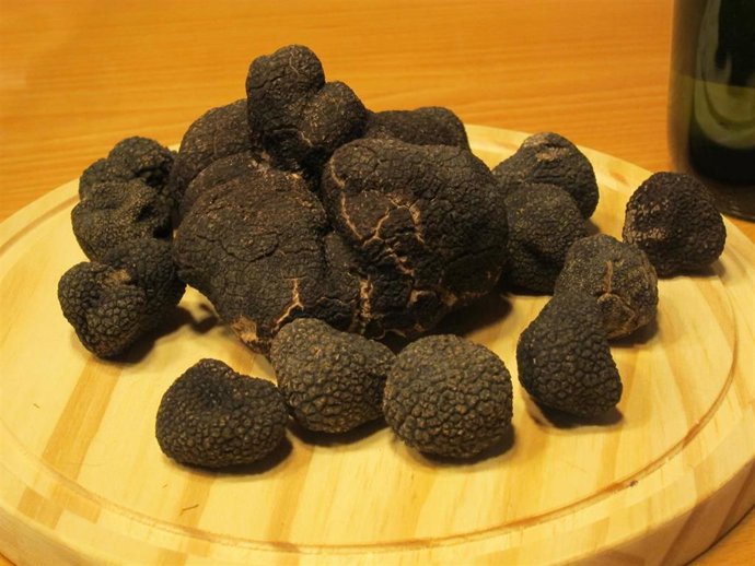 Archivo - Trufa, trufa negra, alimentación, alimento, recetas de cocina, gastronomía, cocina, cocinar