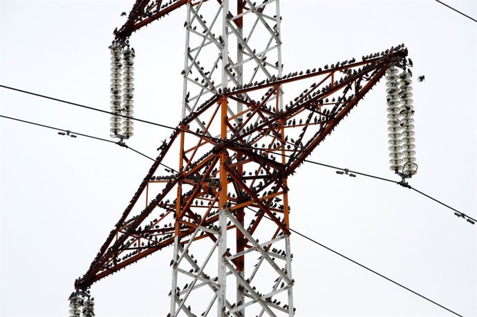 Archivo - Italy, Milan - October 31, 2019.Autumn. Bird migration.A flock of european starling (Sturnus vulgaris) take a break on a pylon