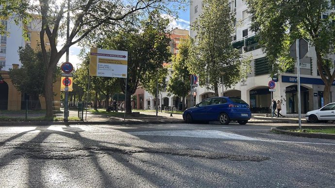 Avenida Alcalde Luis Uruñuela.