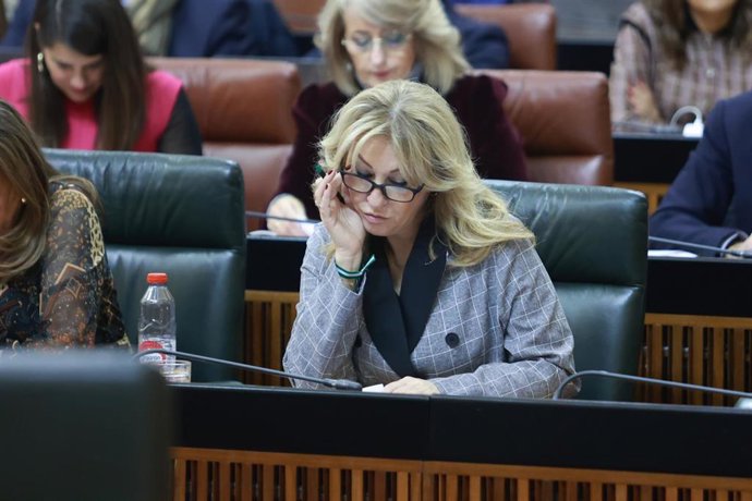 Archivo - La consejera de Economía, Carolina España, en una imagen en el Pleno del Parlamento.