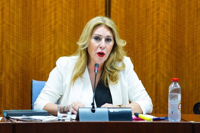 Archivo - La consejera de Economía, Carolina España, en una imagen de archivo de una comparecencia en comisión.