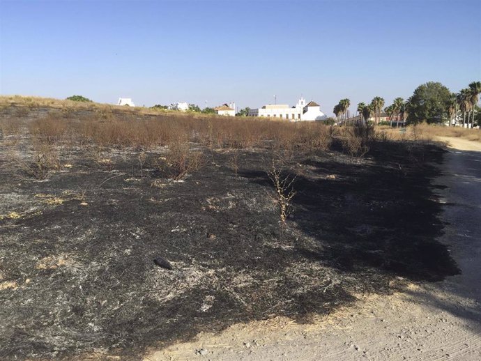 Archivo - Incendio en la parcela de Montelirio
