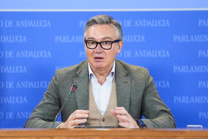 El portavoz del Grupo Parlamentario Vox, Manuel Gavira