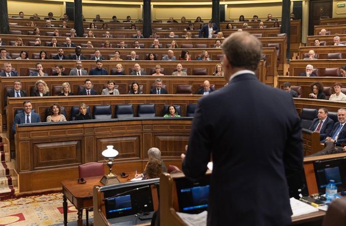 Archivo - El líder del PP, Alberto Núñez Feijóo, pregunta al jefe del Ejecutivo, Pedro Sánchez, durante una sesión de control al Gobierno, en el Congreso de los Diputados, a 13 de marzo de 2024, en Madrid (España).  