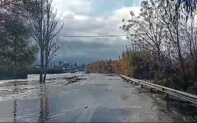 La carretera A-8080 anegada su paso por Torre de la Reina