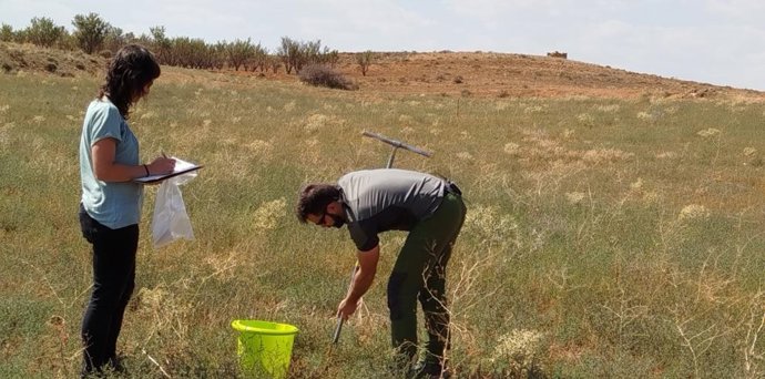 El CITA Teruel imparte una formación sobre diagnóstico de suelos para cultivos leñosos.