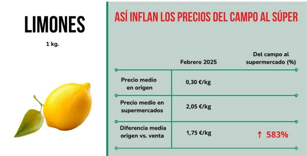 Incremento de precio en limones.