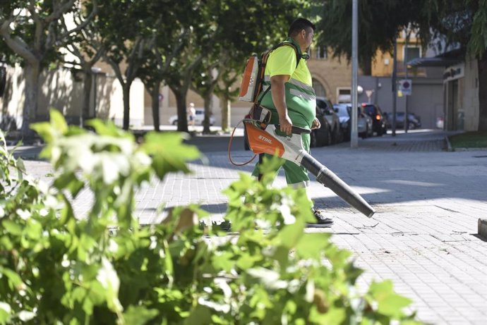 Archivo - Servicios de limpieza recogen las hojas de ramas caídas con motivo de una tormenta.