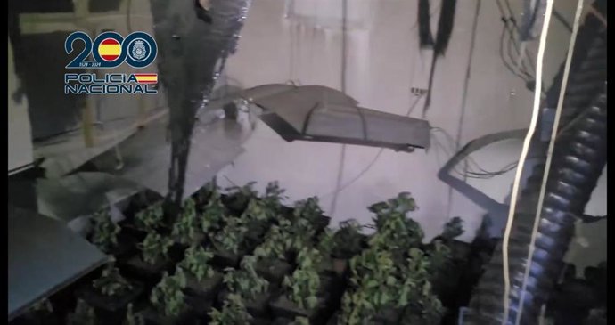 Vídeo de la noticia