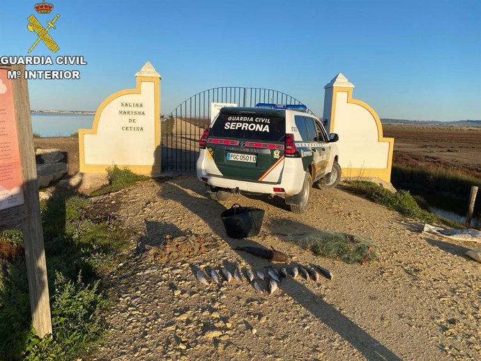 Peces capturados ilegalmente en una salina de Puerto Real.