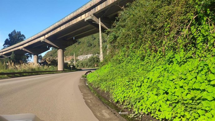 Archivo - Zona de Aboño