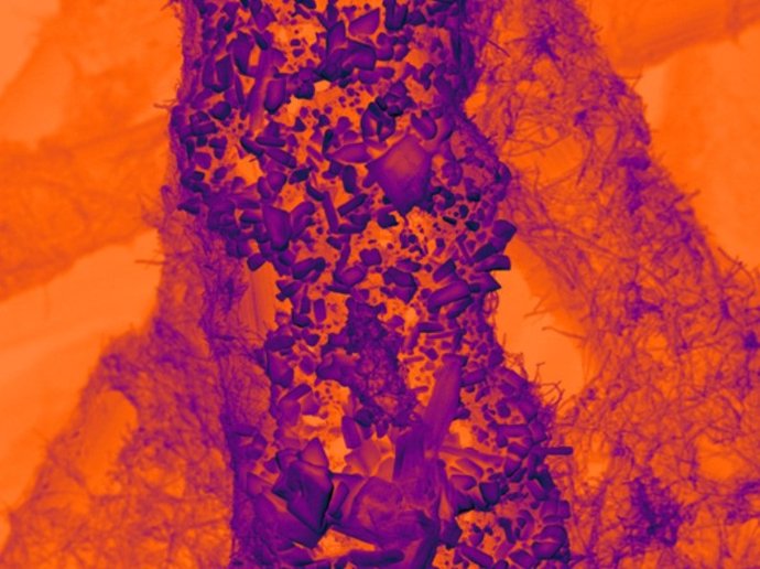 Las partículas de estaño sobre un soporte de carbono nanotexturizado sirven como un electrocatalizador eficaz para convertir el CO2 en productos valiosos.