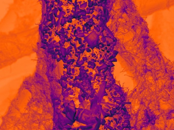 As partículas de estanho em um suporte de carbono nanotexturizado servem como um eletrocatalisador eficaz para converter CO2 em produtos valiosos.