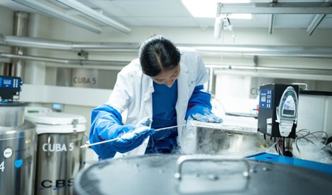 Investigación