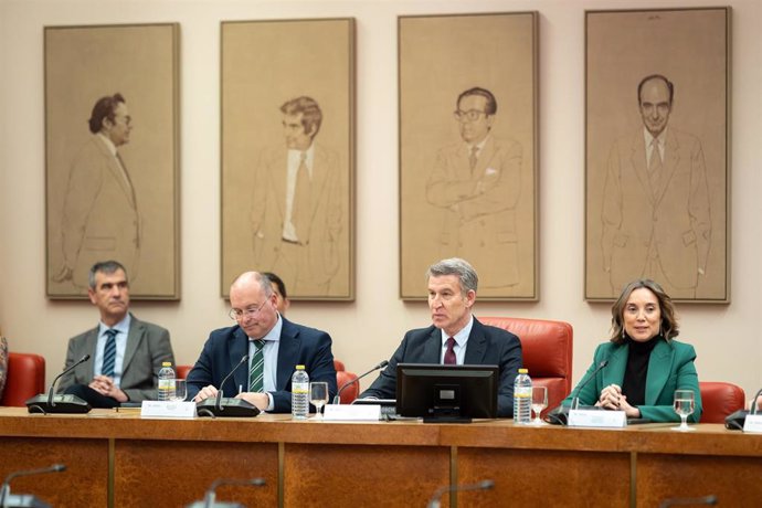 El portavoz del PP en el Congreso, Miguel Tellado; el presidente del PP, Alberto Núñez Feijóo y la secretaria general del PP, Cuca Gamarra, en el Congreso de los Diputados, a 11 de febrero de 2025, en Madrid (España). 