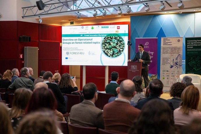 Intervención del consejero de Medio Ambiente, Vivienda y Ordenación del Territorio en la jornada sobre innovación forestal en Bruselas.