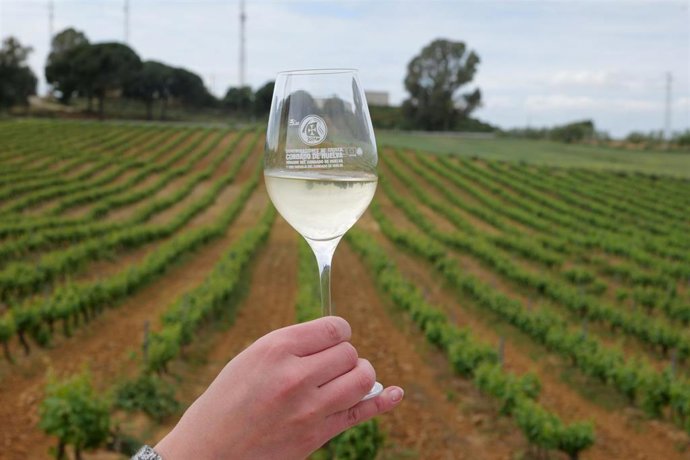 Copa de vino blanco y viñedos de la DOP Condado de Huelva.