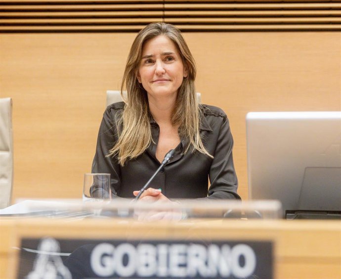 La vicepresidenta tercera del Gobierno y ministra para la Transición Ecológica y Reto Demográfico, Sara Aagesen,en el Congreso de los Diputados, a 27 de enero de 2025, en Madrid (España). 