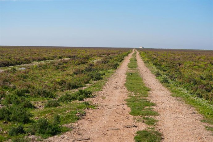 Finca Tierras Bajas en La Puebla del Río (Sevilla)