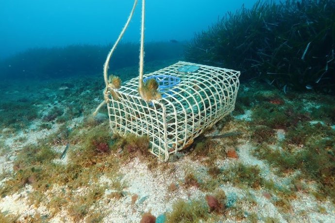 Dos ONG llevan al Gobierno francés ante los tribunales para detener la pesca destructiva en áreas marinas protegidas.