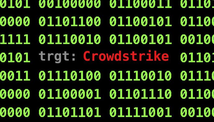 Archivo - Arquivo - 1º de agosto de 2024, Internet, Estados Unidos da América: A CrowdStrike é uma empresa líder em segurança cibernética, especializada em proteção de endpoints, inteligência contra ameaças e resposta a incidentes. Fundada em 2011, ela ga