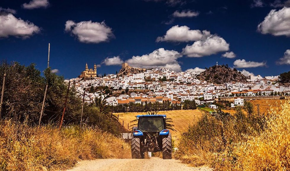 Campo andaluz