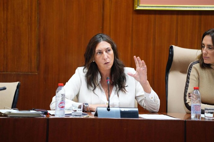 Archivo - Imagen de archivo de la consejera de Inclusión Social, Loles López, en comisión parlamentaria.