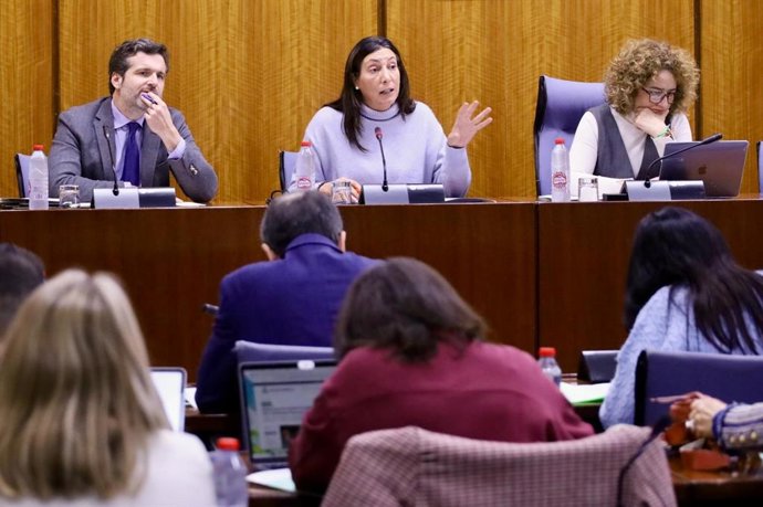 Loles López durante la comisión parlamentaria de este martes dedicada al ámbito de la discapacidad.