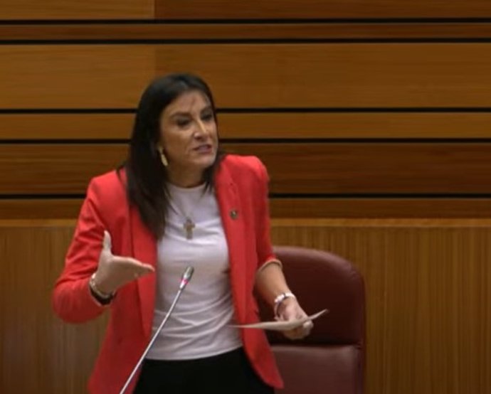 La portavoz adjunta del Grupo Parlamentario Socialista en las Cortes, Ana Sánchez.
