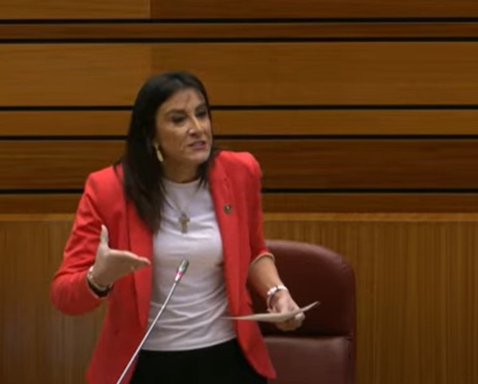 La portavoz adjunta del Grupo Parlamentario Socialista en las Cortes, Ana Sánchez.