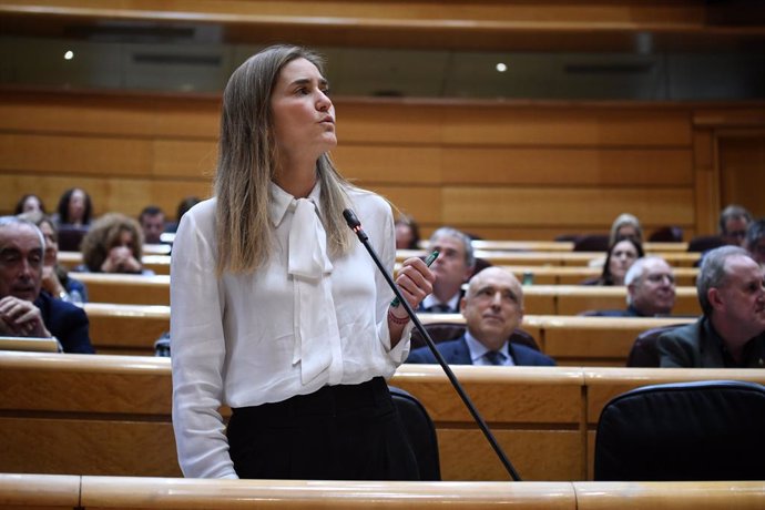 Archivo - Arxiu - La vicepresidenta tercera i ministra per a la Transició Ecològica i Repte Demogràfic, Sara Aagesen, durant una sessió de control al Govern al Senat, a 3 de desembre del 2024, a Madrid (Espanya).